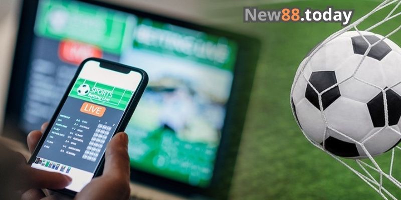 Cách chơi cá độ bóng đá không thua Cách chơi cá độ bóng đá không thua